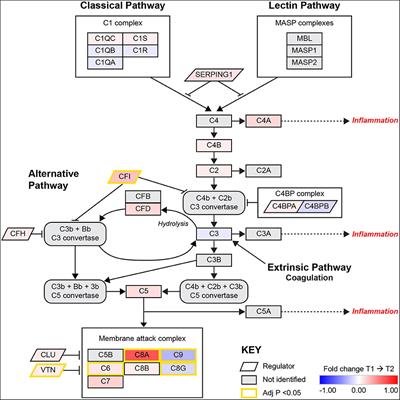 Longitudinal Stroke Recovery Associated With Dysregulation of Complement System—A Proteomics Pathway Analysis